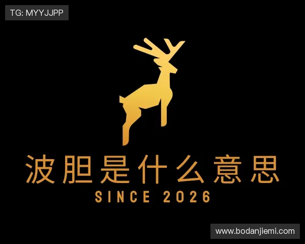 解读足球比赛推荐