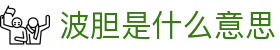 波胆揭秘：足球比赛推荐与比分数据深度解析